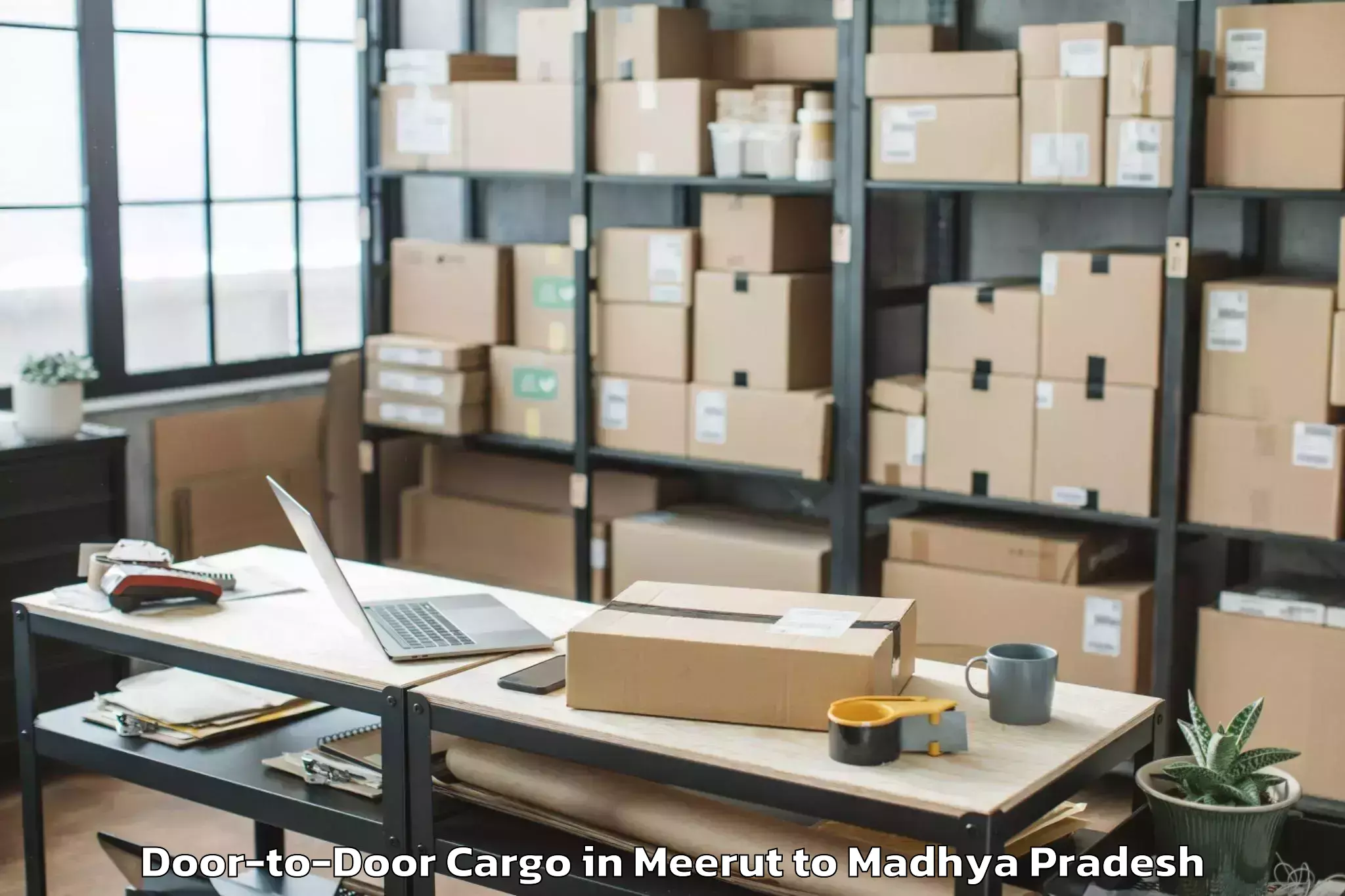 Meerut to Gandhwani Door To Door Cargo Booking